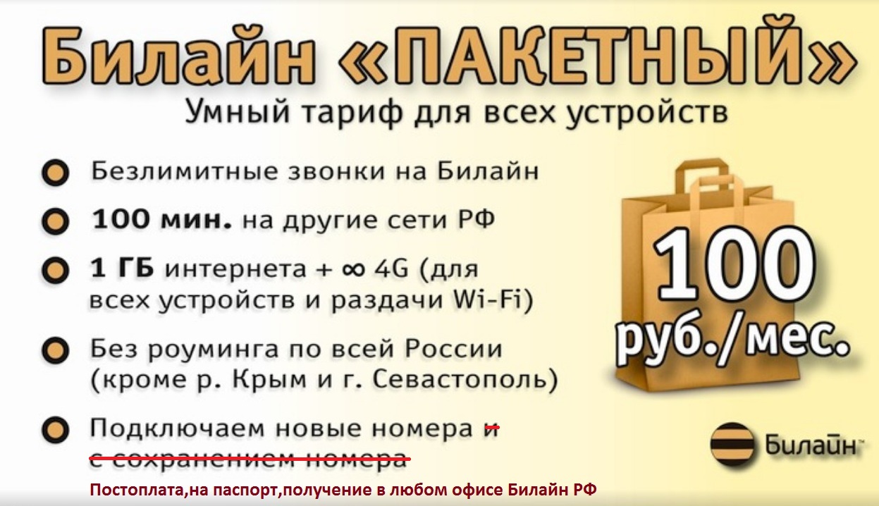 Билайн Пакетный 100 Безлимит 4G.jpg